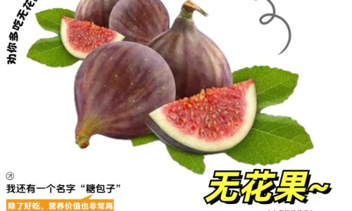 雪花秀滋阴系列功效-【雪花秀明星系列】雪花秀好吗 - 雪花秀明炜草安瓶功效网