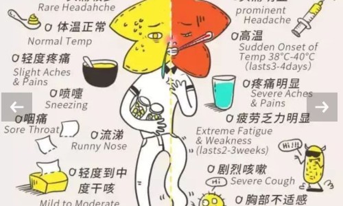 雪花秀成分安全吗-【雪花秀明星系列】雪花秀好吗 - 雪花秀明炜草安瓶功效网